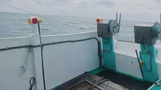 02-03-26 Taiwan fishing boat standby/waiting for sailing good afternoon everyone.#live