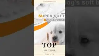 Canine Lift Support & Rehabilitation Sling