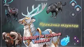 Frostborn прокачка маунтов; выпадут ли топовые навыки