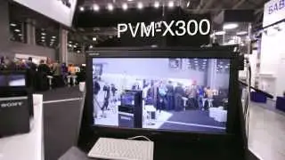 Sony на Natexpo-2013