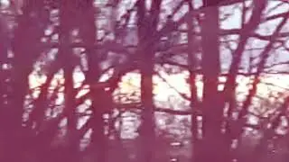 Film