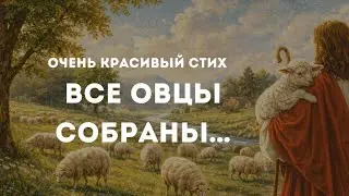 ВСЕ ОВЦЫ СОБРАНЫ | красивый христианский стих