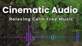 Cinematic Calm Audio - No Copyright Music | Relaxing Free Background Music for YouTube & Video