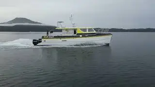 Speed cat