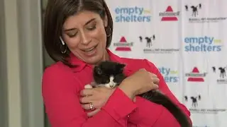 BARC Joins 'Empty the Shelters' Event to Find Forever Homes for Animal