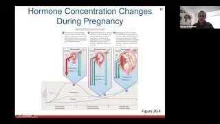 Ch. 20 (Development, Heredity, Aging)