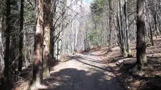 Sidzina - Hala Krupowa - Czarny szlak - 2018.05.03  4K