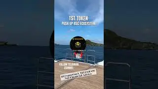 TST Token PUSH UP BSC Ecosystem #investment #money #trading #trader #memecoin #crypto #investor #tst
