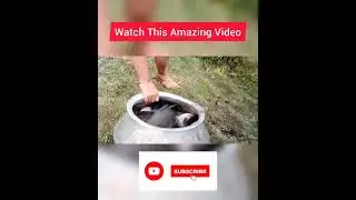 Check This New Full Video/Rakesh Hooghly Fishing