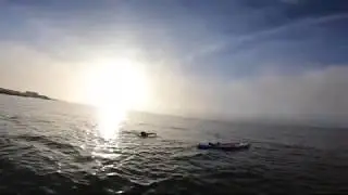 Silly Salmon off a 2020 Naish Alana SUP Paddleboard