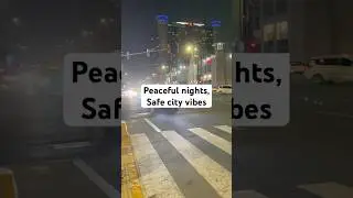 Abu Dhabi safest city for walking alone at night. #abudhabi #uae #safestcountries #nightvibes
