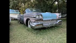 More American backyard exploring