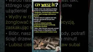 5 sekret&oacute;w m&oacute;zgu, kt&oacute;re Cię ZDZIWIĄ!