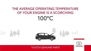Things you didn't know about the quality of Genuine Toyota Motor oil