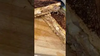 PATTY MELT 🤤 #pattymelt #sandwich #shorts #cheesy #burger #fyp