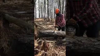 Cheap, easy, firewood measuring Hack..#shorts #short #tinyhouse #firewood