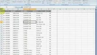Repeat Header Rows in Excel 2007.avi