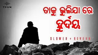Taku Bhulijare Hrudaya (Slowed+Reverb)  Lofi Song | Humane Sagar | Odia Sad Lofi Song |Odia Sad Song