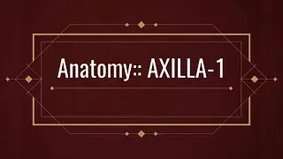 Anatomy::Axillary Region-1