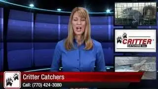 Acworth Squirrel Removal Experts - Critter Catchers - Animal Removal Review by Joan S.