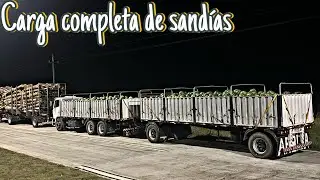 Seguimos con la zafra de sandía / viaje muy lite con el mercho 🍉