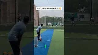 Fielding Brilliance Unleashed 🏏Batsman Shots Met With Flying Catches And Chaos 😳 #cricket #shorts