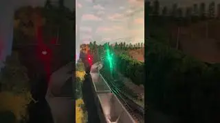 Norfolk Southern train C79 knocks down the signal at Sanaa Curve in Kanesville. #trains