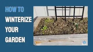 How To Winterize Your Garden #howto #garden #winter
