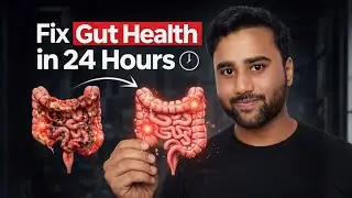 Stop Killing Your Gut Health (24 Hour Fix)