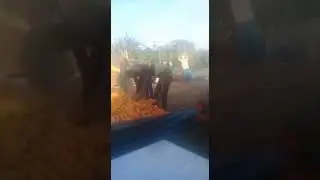 story kuli jagung