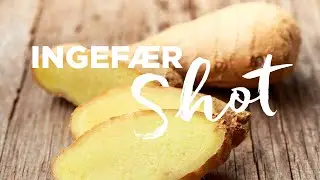Ingef&aelig;rshot hurtigt og nemt p&aring; din juicemaskine | witt by kuvings c9640 slow juicer Mads Bo opskrift