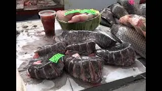 Kazakhstan to increase fish production