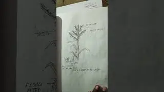 Biology class 12th practical Ka Chitra #music #electronicmusic #edm #study
