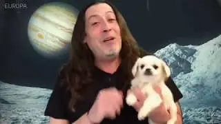 The Left Paw New Arrivals 04 11 2018