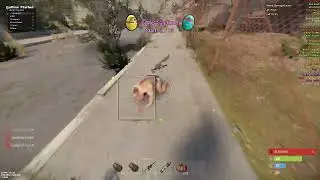 Getting banned using disarray.pro rust cheat