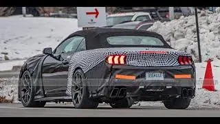 Ford возрождает высокопроизводительный кабриолет Mustang, возможно, без названия Shelby.