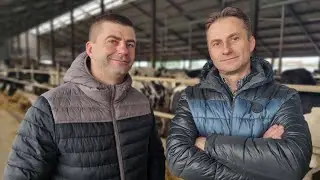 Produkują mleko, mają 600 krów i należą do 2 grup producentów. Wspierają ich doradcy Agraves