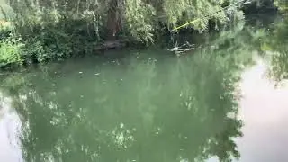 August on the Indre River, Loches