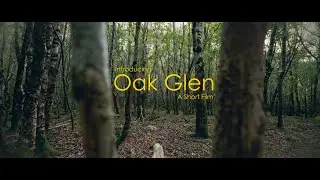 Oak Glen – Relaxing Nature Walk in Wicklow | 4K HDR |