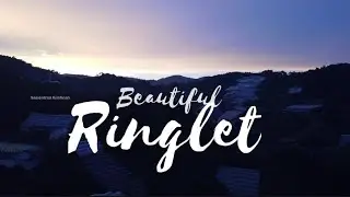Ringlet, Cameron Highlands| Cameron Highlands Series 2| Malaysia|Drone View| Pahang