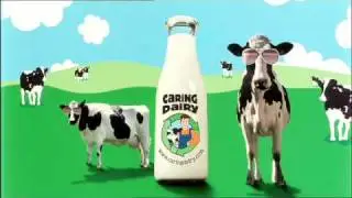 Ben & Jerry's - Fairly Nuts