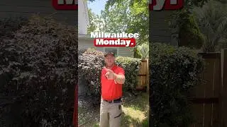 Milwaukee 30 inch Hedgetrimmers #milwaukeetool #nothingbutheavyduty