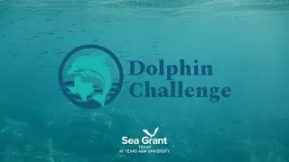 Dolphin Challenge - Texas Sea Grant