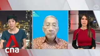 Prof Tikki Pang on rise in dengue cases in Singapore and the region