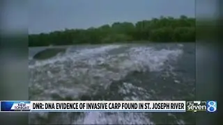 DNR: Invasive carp DNA found in Michigan river