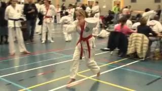 8th Tang Soo Do Tournament Holland 2014 (Ki Kong) De Lier