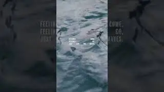 Feelings come&hellip;feelings go!