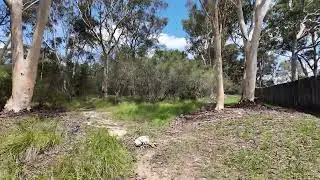 From my house to the river (bush walking  sydney Australia)