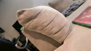 Sharkey boi plays phone case diy!