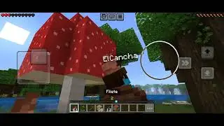Jugando con mi tio